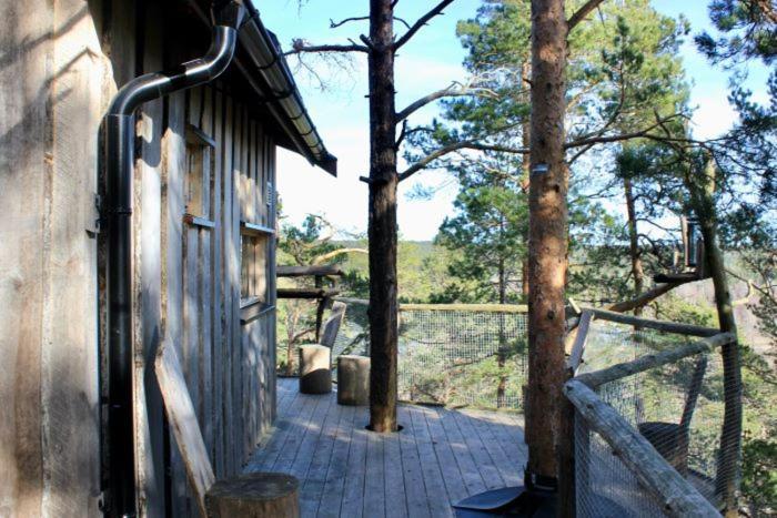 Tretopphytter Pa Grensen - Elghytta Med Robat Og Gjeddefiske Halden Zewnętrze zdjęcie